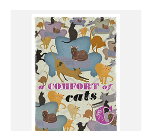 Druck Cats